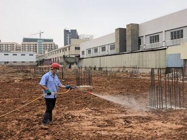 大沥验收白蚁站3步做好白蚁防治，房子安心住几十年！