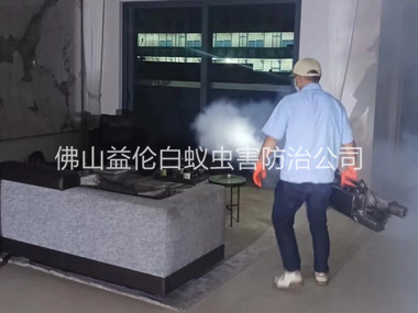 官窑电房灭杀白蚁工程