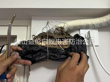 黄岐房屋白蚁诱杀工程